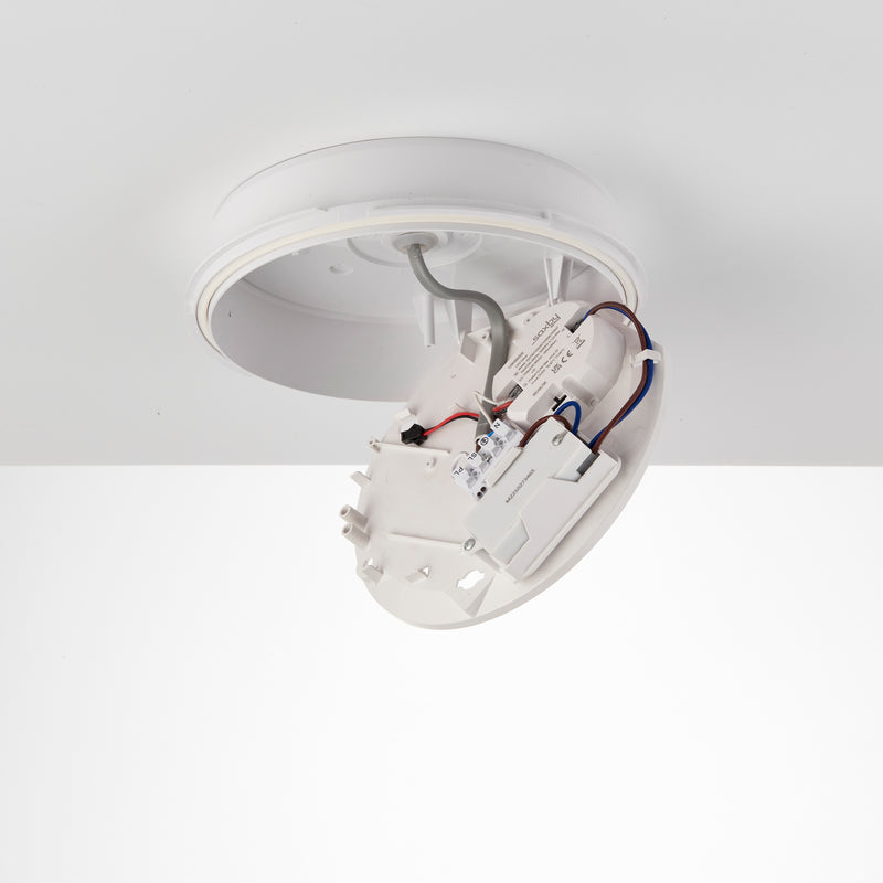 HeroPro 12W Mini LED Tri Wattage Bulkhead Microwave Light - CCT
