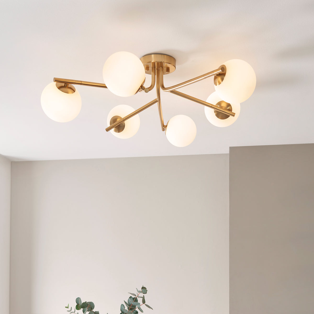 Aaron semi flush light in brushed aged brass fitted to a white ceiling above a eucalyptus sprig