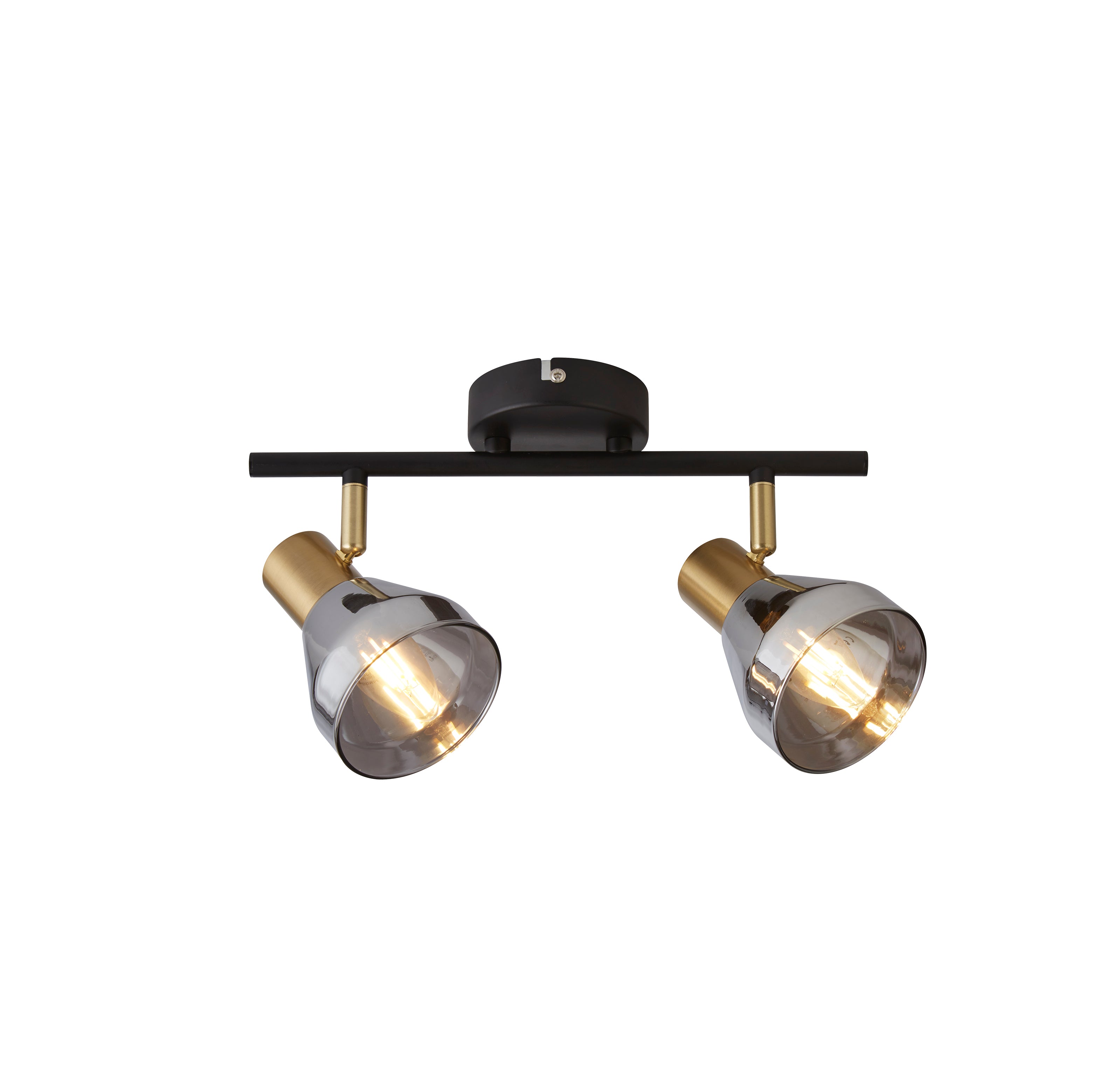 Searchlight Westminster 2 Light Black & Brass Spotlight