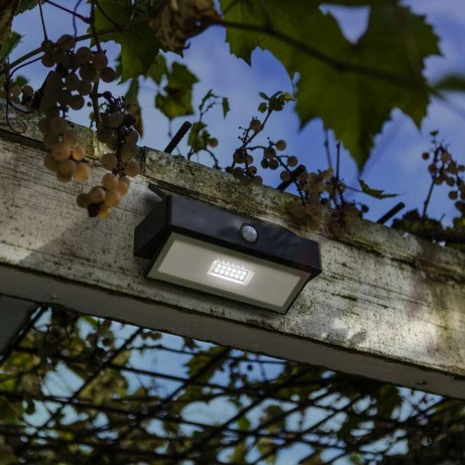 Lutec Arrow LED Solar Wall Light - Dark Grey 6910601335