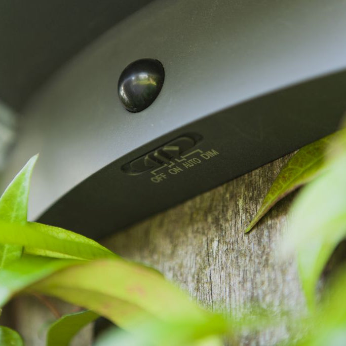 Lutec Vyzor PIR Outdoor LED Solar Wall Light - Dark Grey