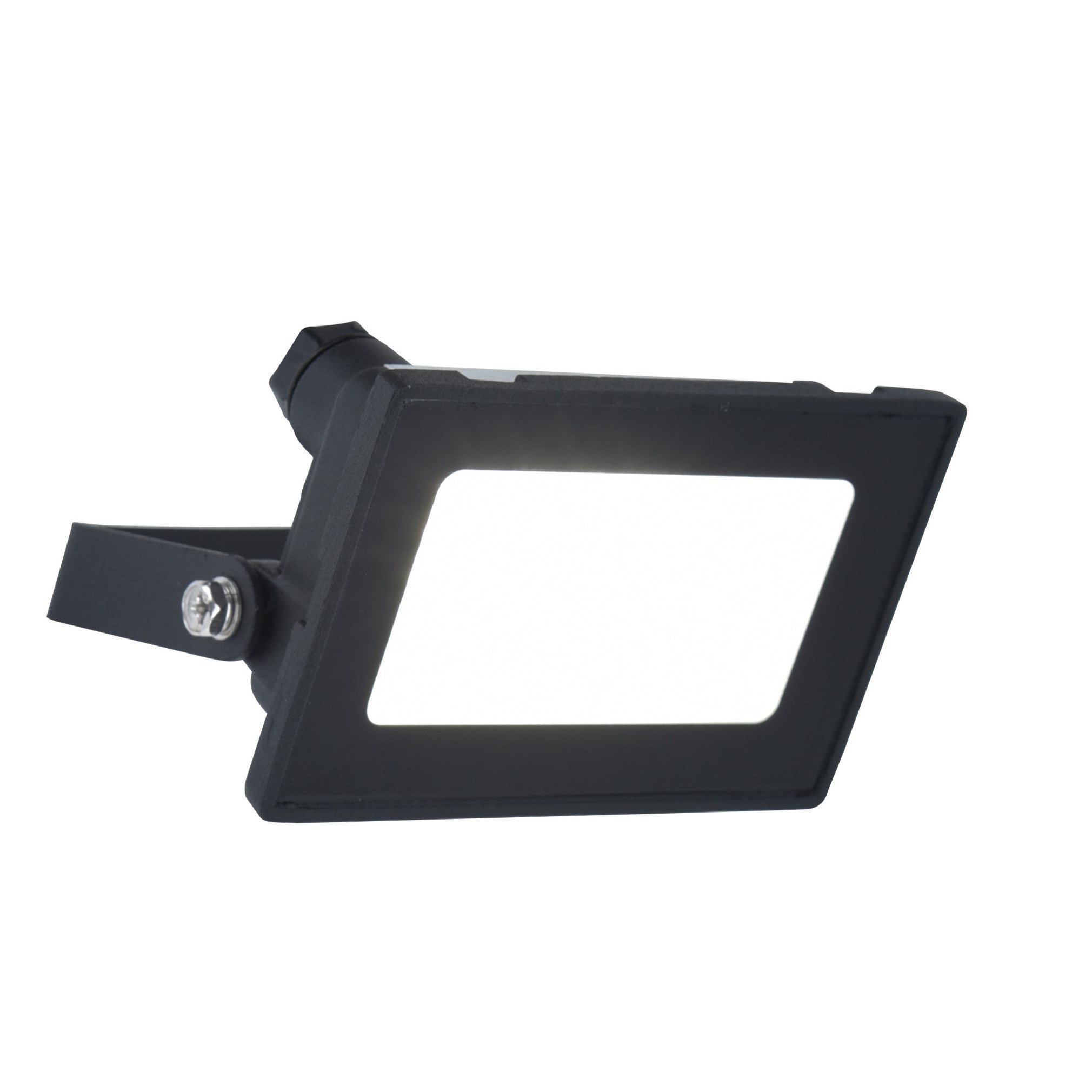 Lutec Halo 10W LED Outdoor Floodlight – Black (IP65)