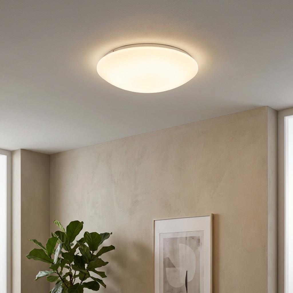 Round white curved glass LED flush ceiling light illuminating a minimalist room with a potted plant.