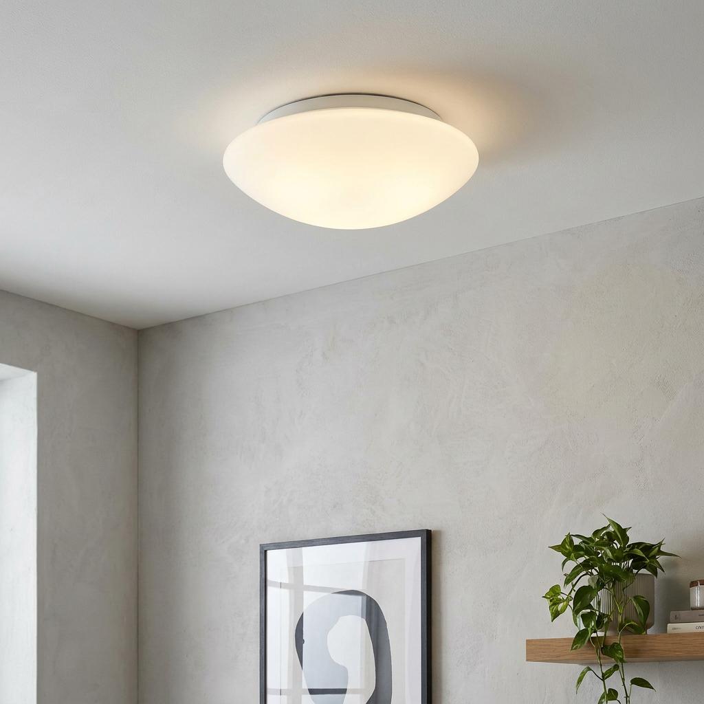 Circular opal glass flush mount ceiling light glowing in a modern room with a textured wall and green plant.
