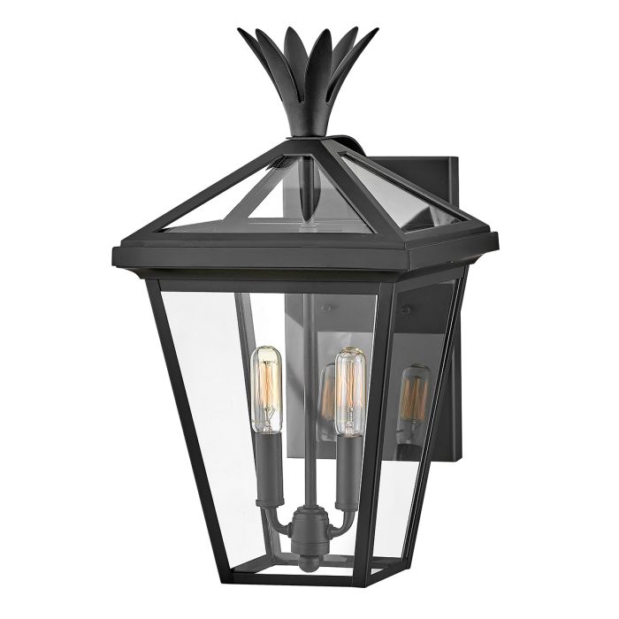 Palma Black Medium Outdoor Wall Lantern HK-PALMA-M-BK by Hinkley