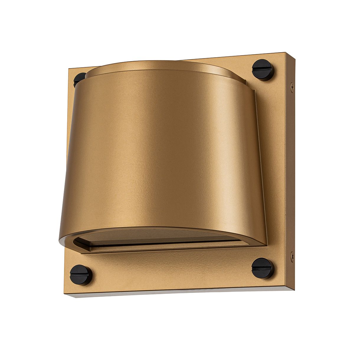 Scout Brass Small Outdoor Wall Light