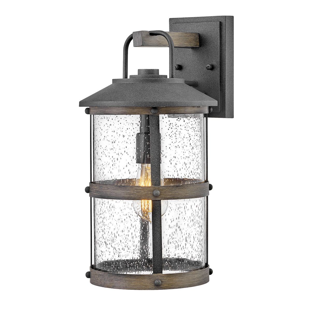 Lakehouse 1 Light Medium Outdoor Wall Lantern QN-LAKEHOUSE2-M-DZ by Hinkley