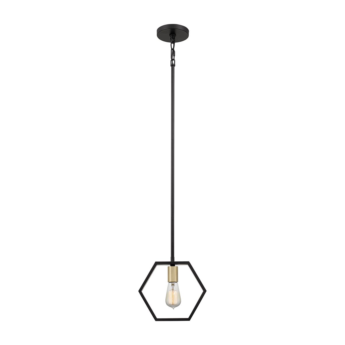 Bismarck Black 1 Light Mini Ceiling Pendant Light