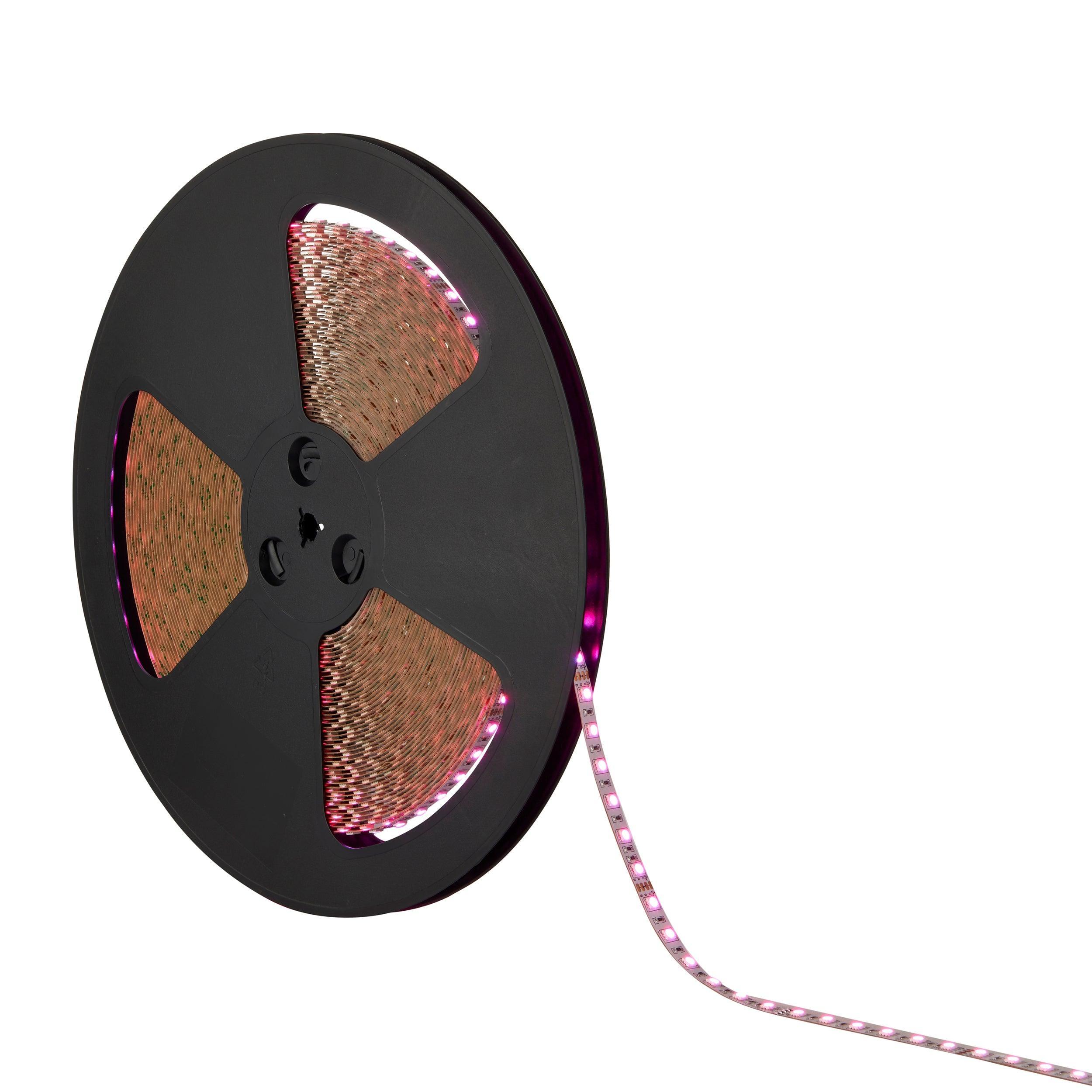 orionrgb led 12w m 30m 360w led flexible strip lightby saxby lighting