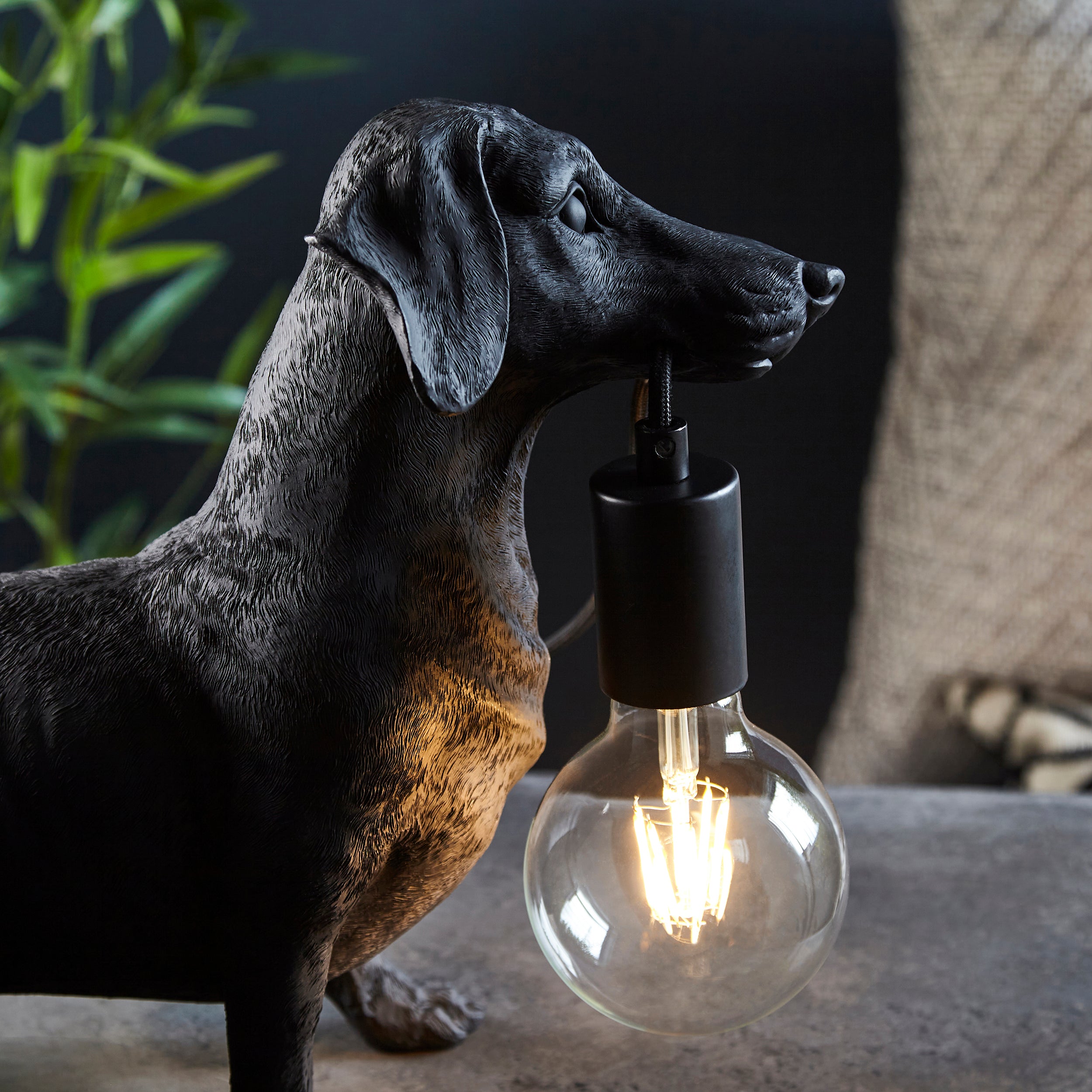 Dachshund Black Dog Table Lamp