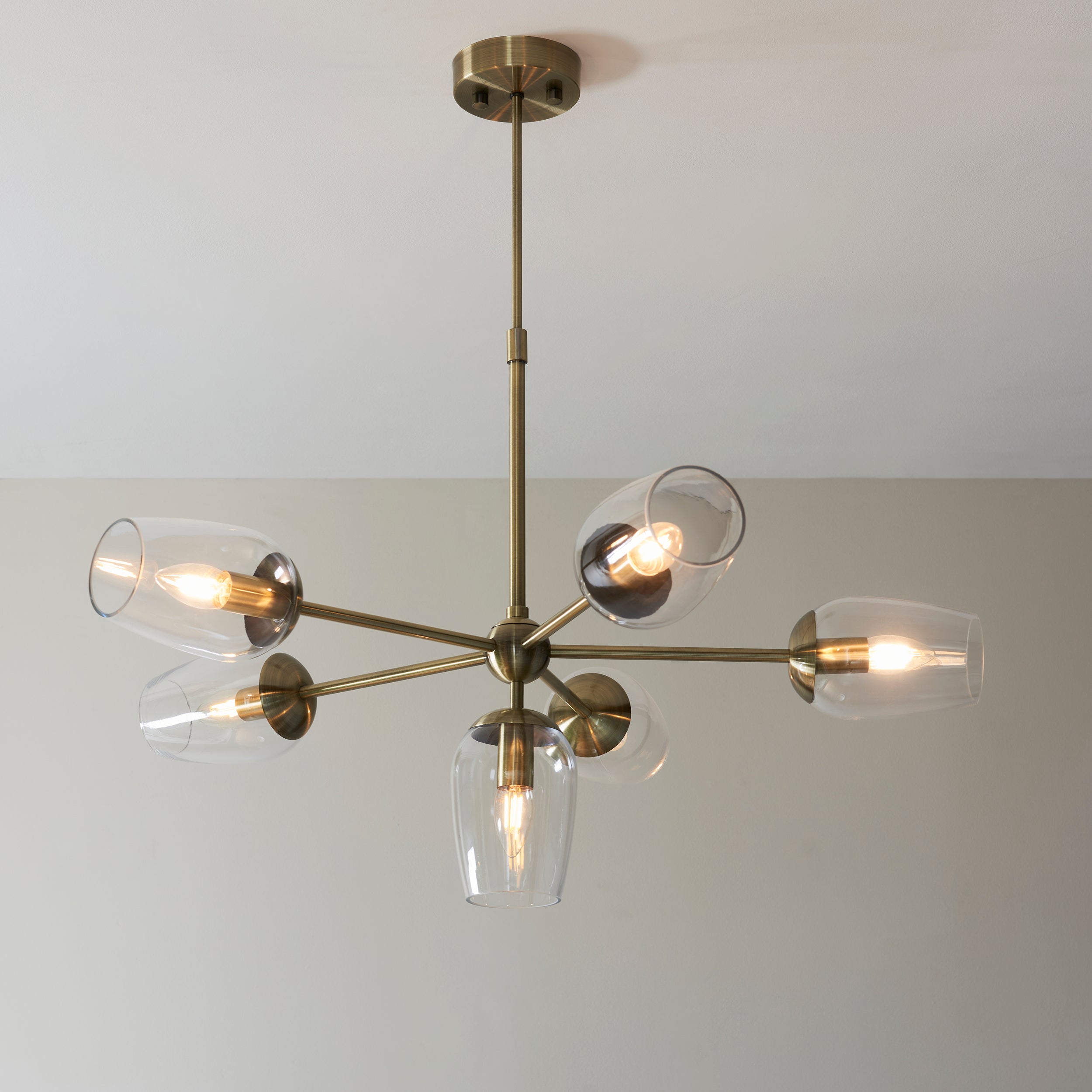Maeve 6 Light Brass Pendant - Glass Shades
