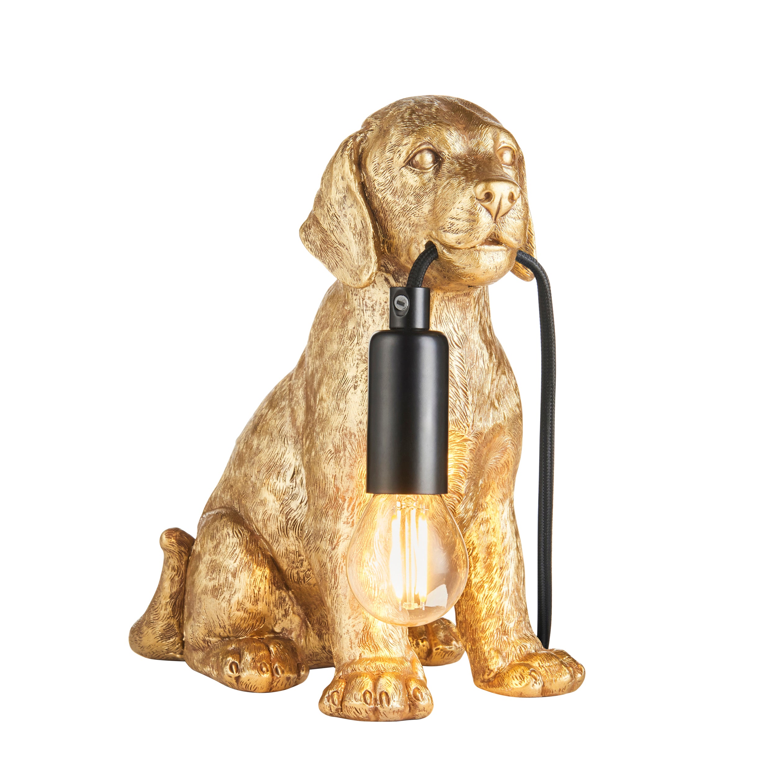 Labrador Puppy Gold Dog Table Lamp 107364 by Endon Lighting