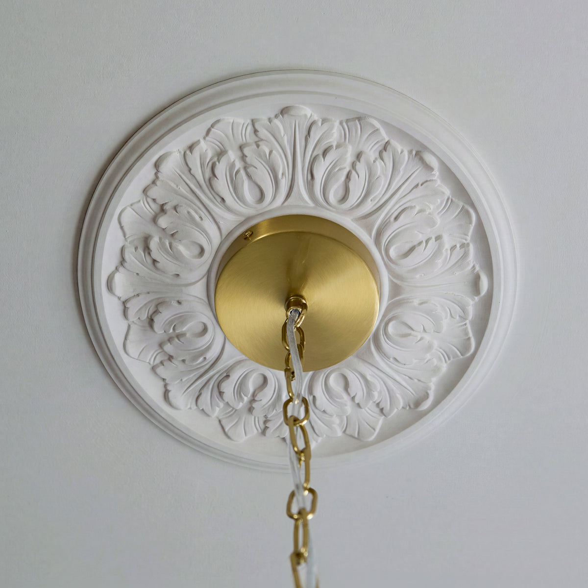 Brushed brass ceiling plate and chain of the Autumn pendant on an ornate white ceiling rose
