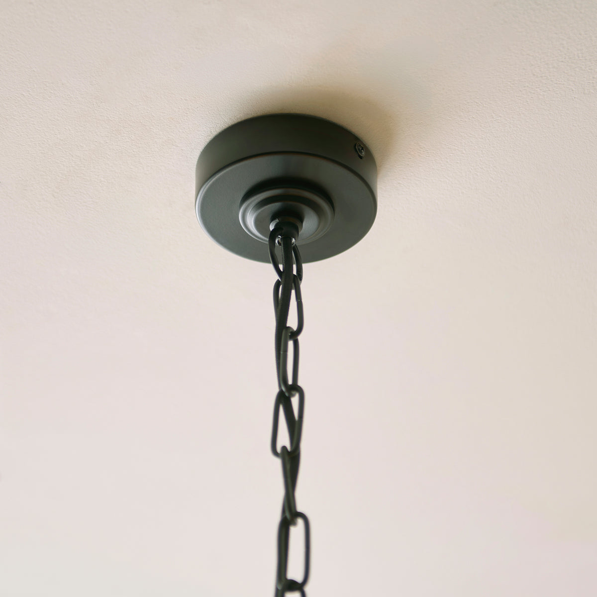 Black ceiling rose and chain suspension of the Jericho pendant light