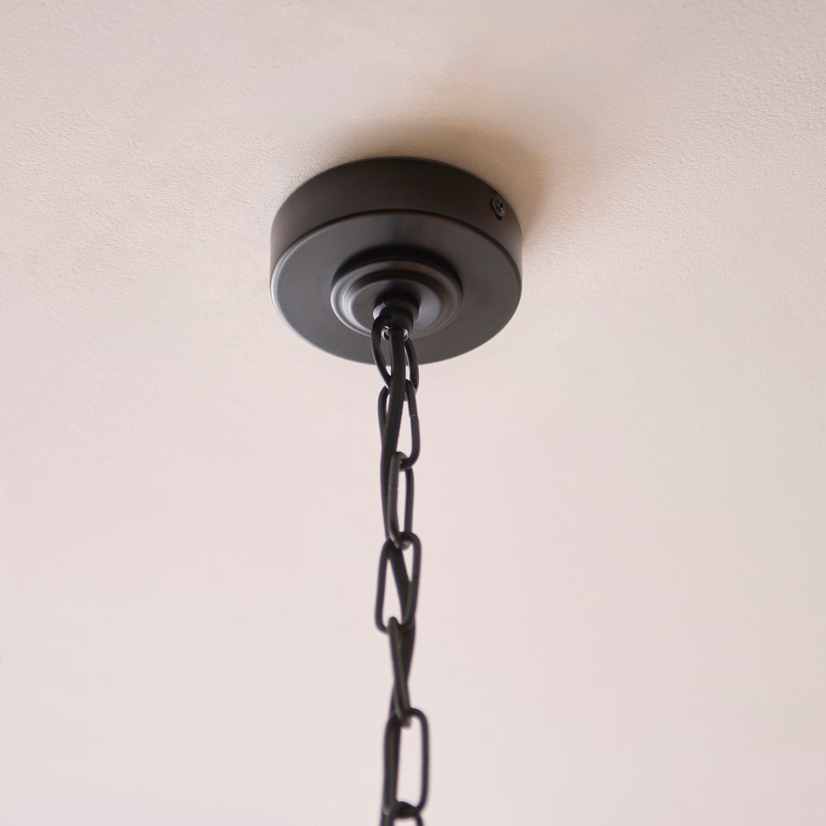 Black ceiling rose and chain suspension of the Jericho pendant against a white ceiling