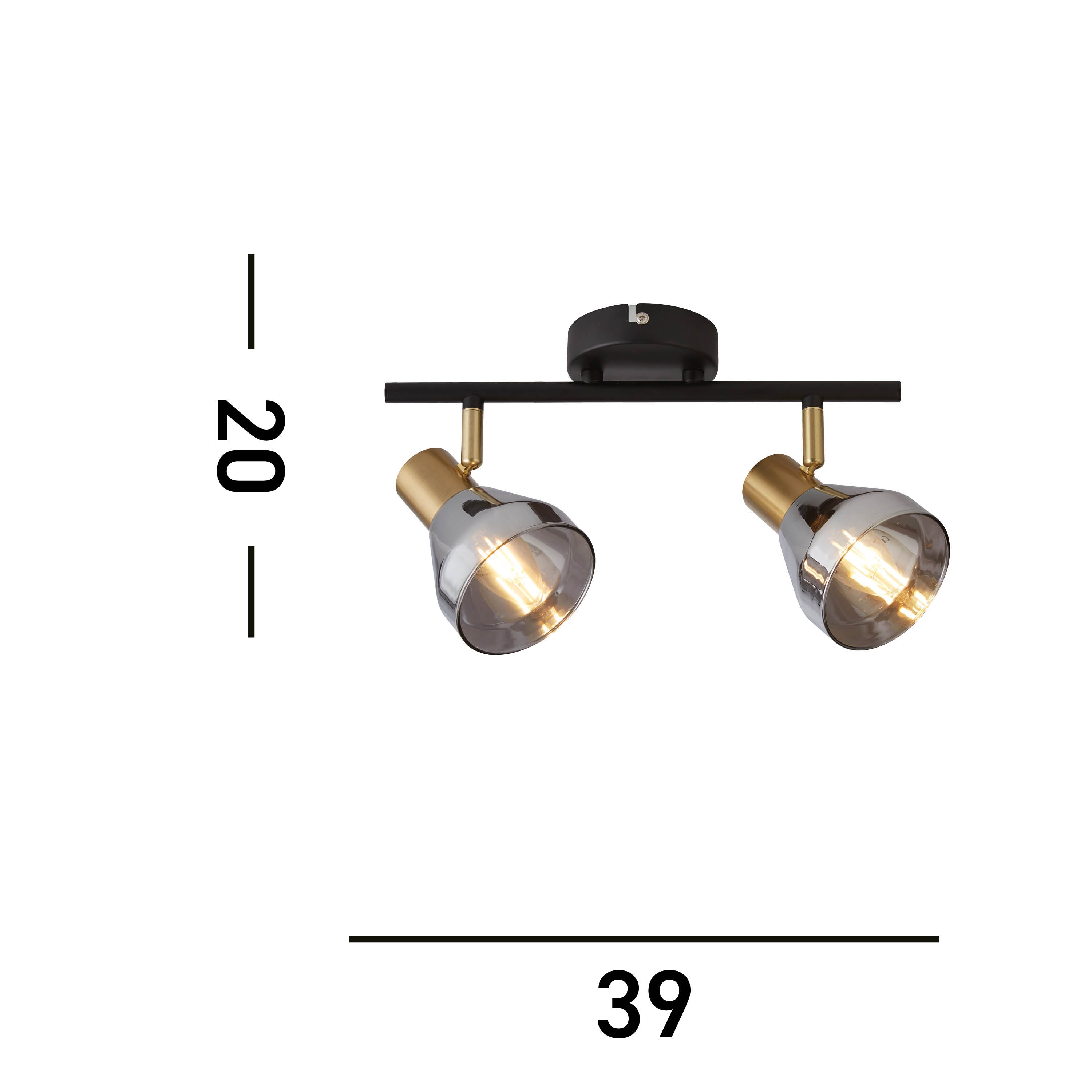 Searchlight Westminster 2 Light Black & Brass Spotlight