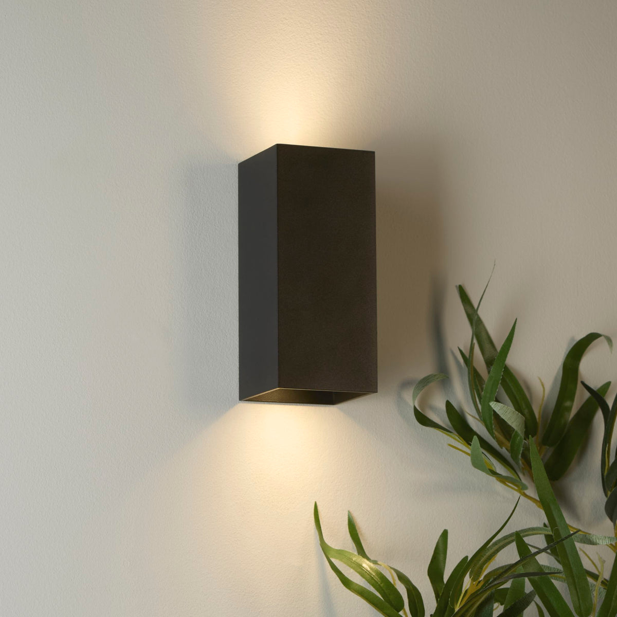 Don black wall light glowing up and down a pale wall beside a leafy houseplant