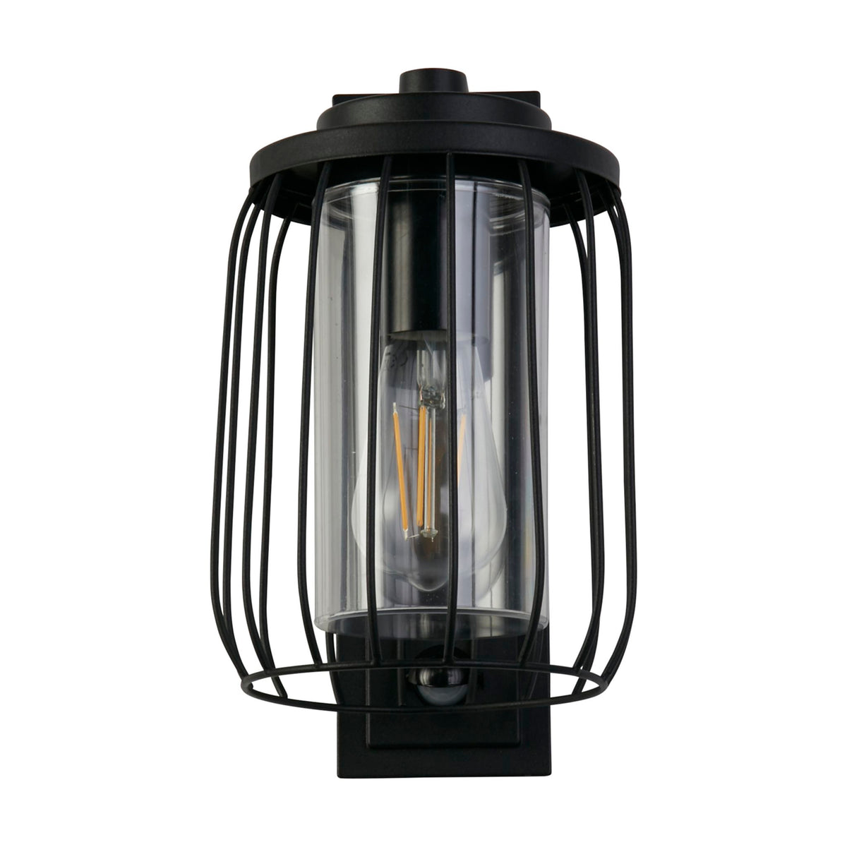 Reed outdoor black wall lantern unlit with caged clear glass shade on a white background