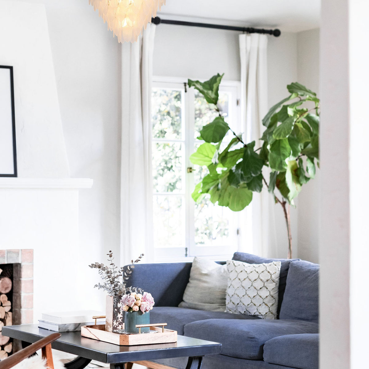 Feather chandelier glowing in a bright living room with blue sofa, fireplace and large fiddle-leaf fig