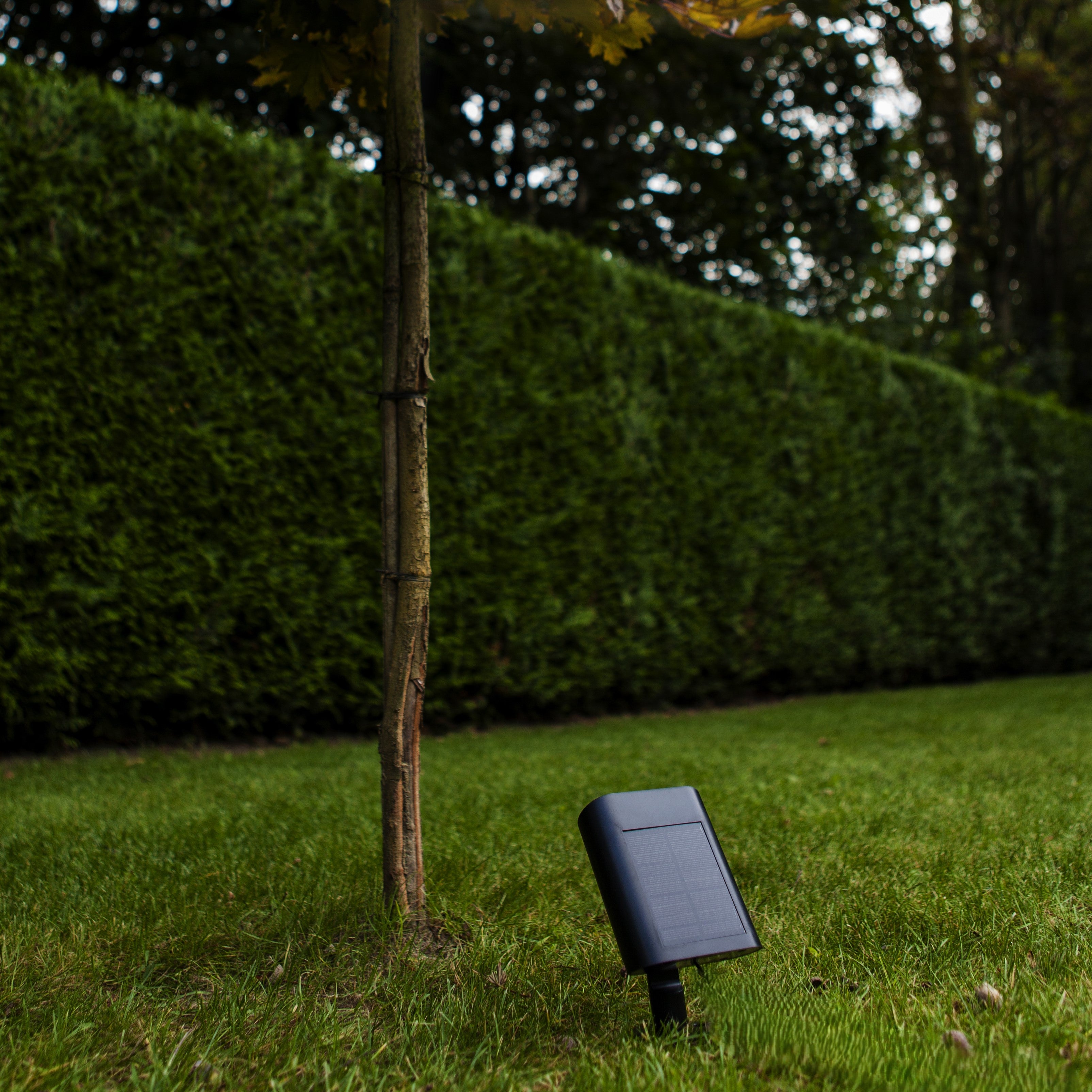 Lutec Bingo Solar LED Black Outdoor Wall Light with Spike