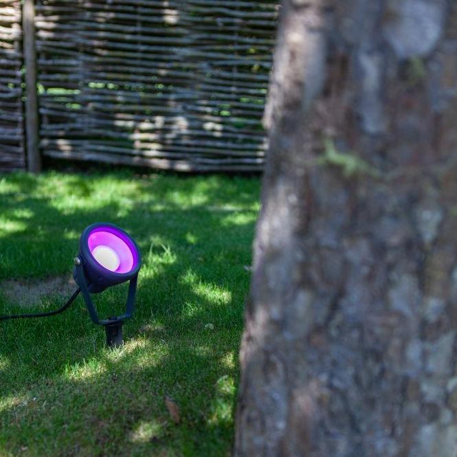 Lutec Mini Leto LED Outdoor Spike Light In Black 6602903424 Pink Light