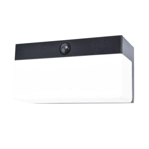 Lutec Fran Solar LED Wall Light - Black 6941502330