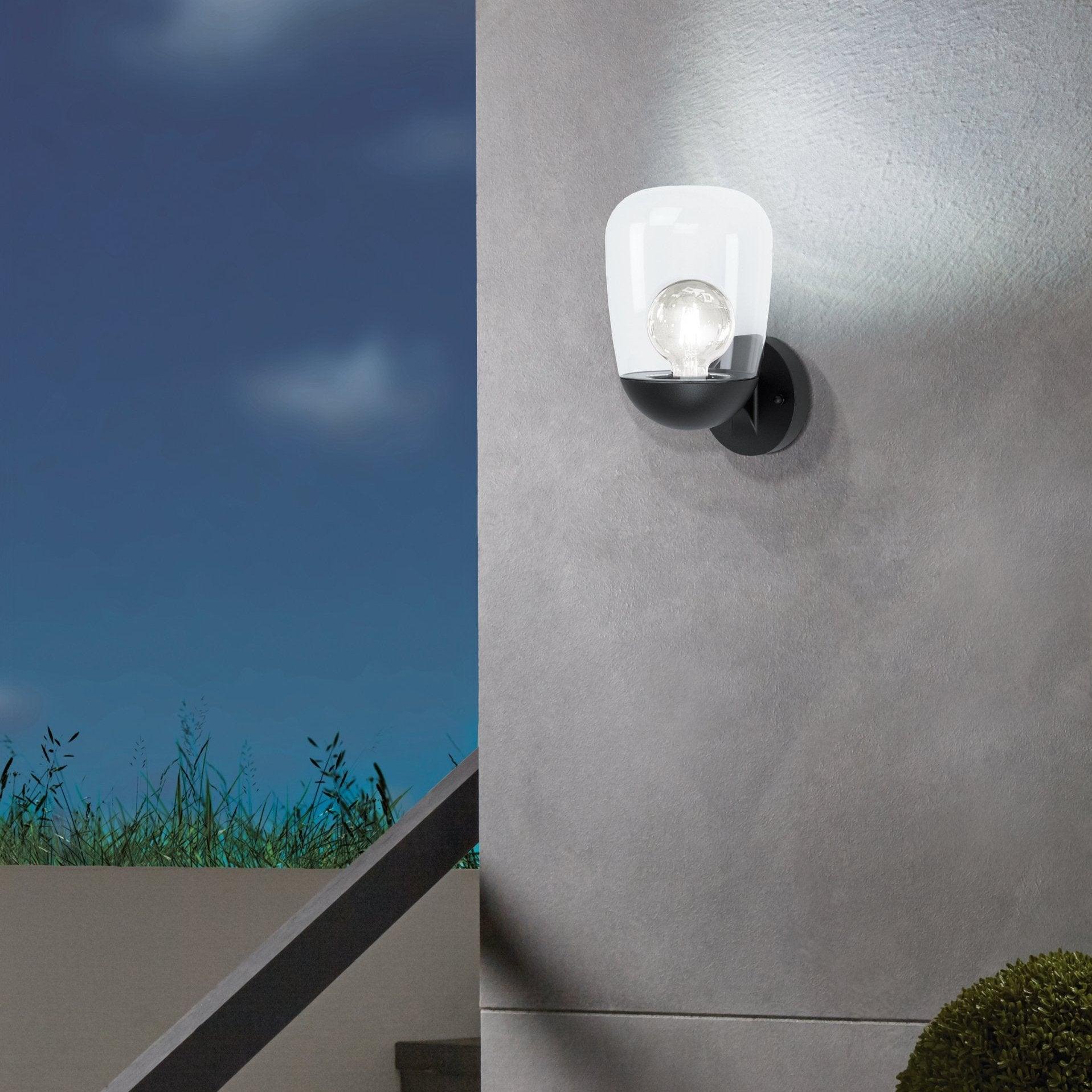 Eglo Donatori Black & Clear Glass Outdoor Wall Light - IP44-clearance
