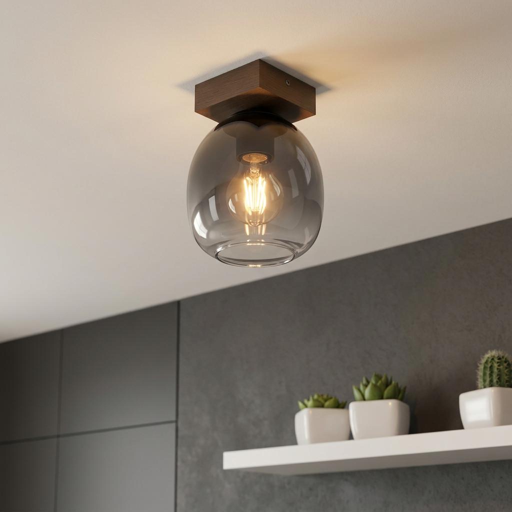 Modern flush-mount ceiling light with a square dark wood base and oval smoke glass shade in a contemporary interior.