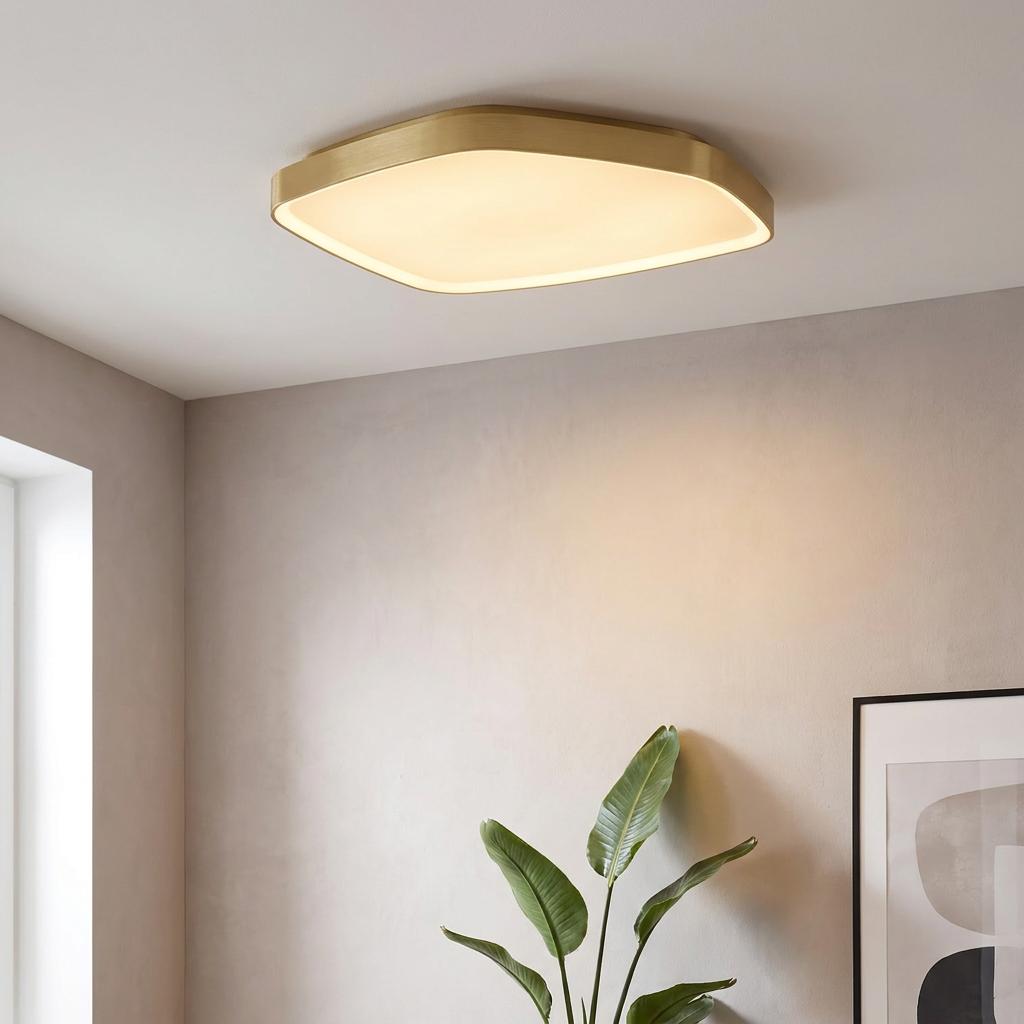 Modern brass LED flush ceiling light with rounded edges illuminating a neutral room with a leafy green plant.