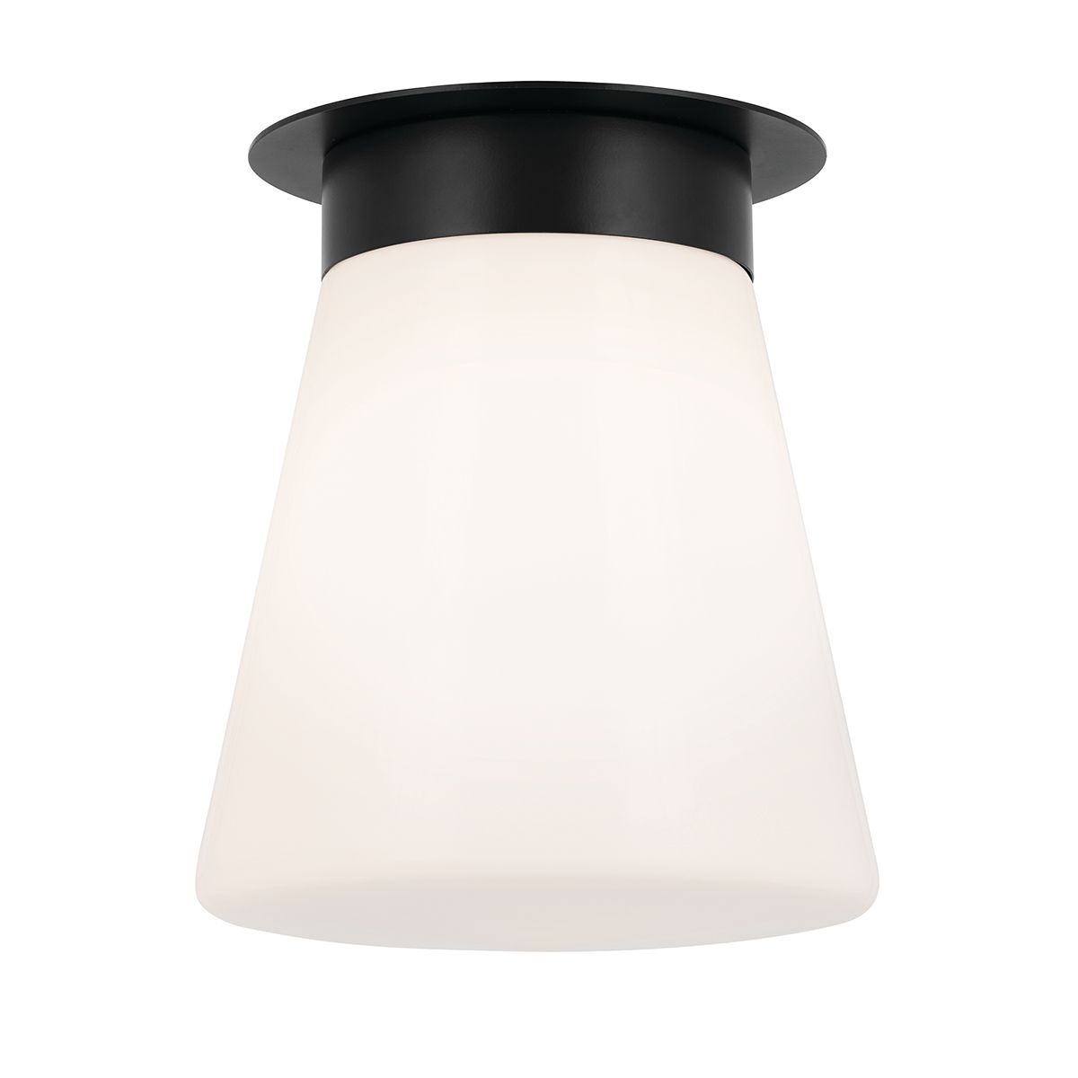 Albers Black Flush Ceiling Light
